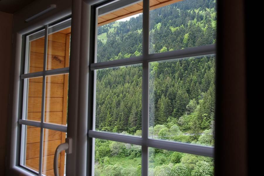 Vue exceptionnelle sur la forêt