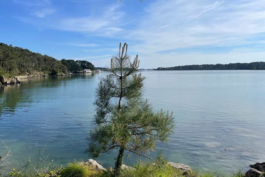 Sentier cotier-photo-page