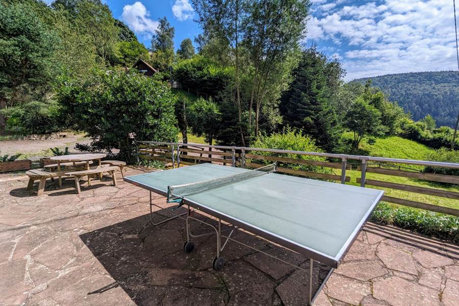 Gite-de-groupe-alsace-vosges-chalet-ping-pong
