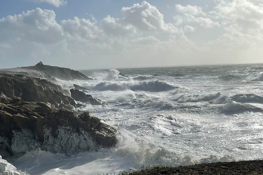 Sans titre-photo-page