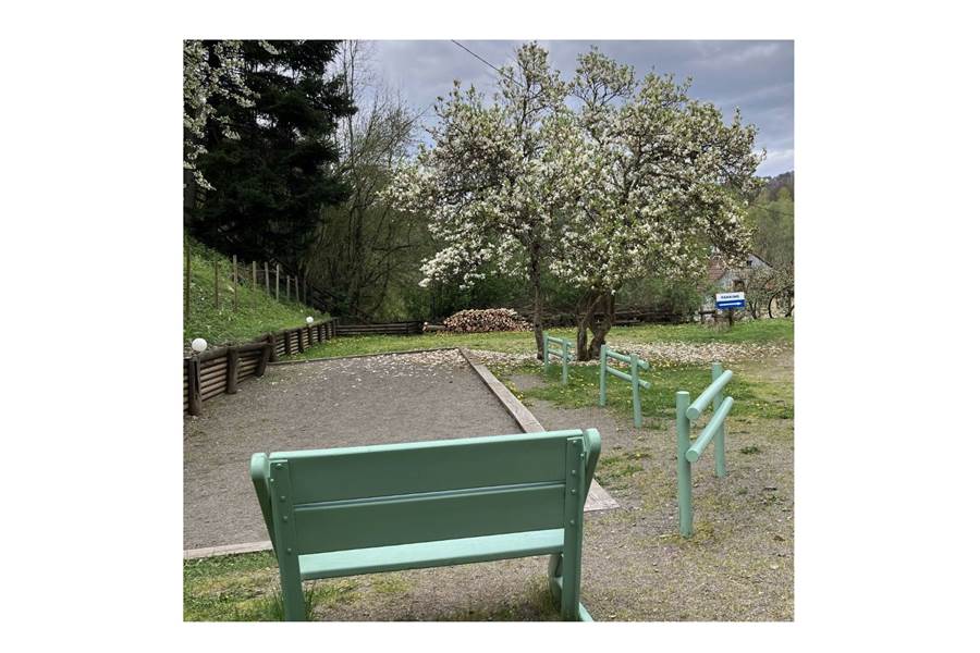 Gite-de-groupe-alsace-vosges-chalet-terrain-petanque