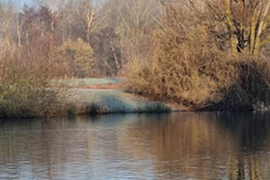 Etang des Vingtaines - Anet-photo-page
