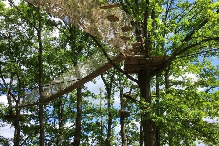 Activité Accrobranche-photo-page