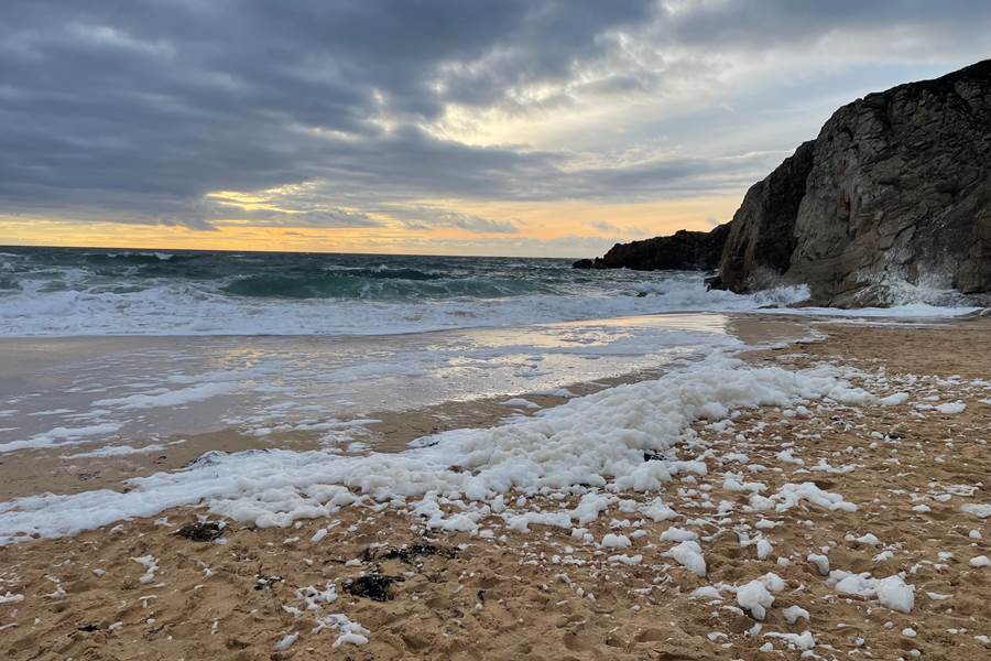 Sans titre-photo-page