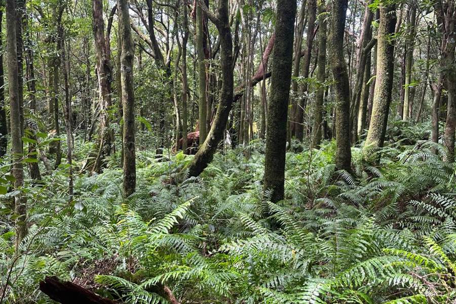 WhatsApp Image 2025-03-24 at 13.08.18(3)