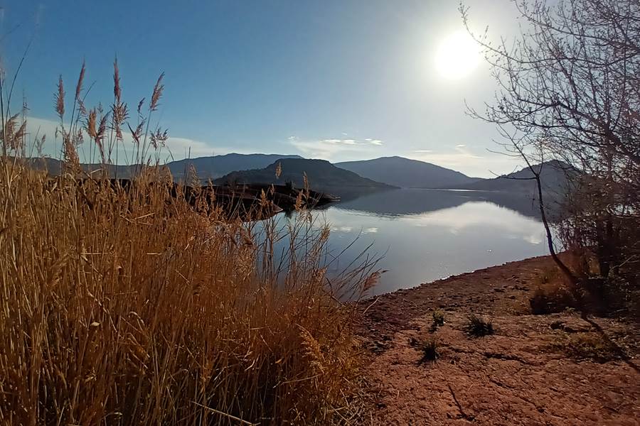 Le rossignol des murailles-Le lac du salagou