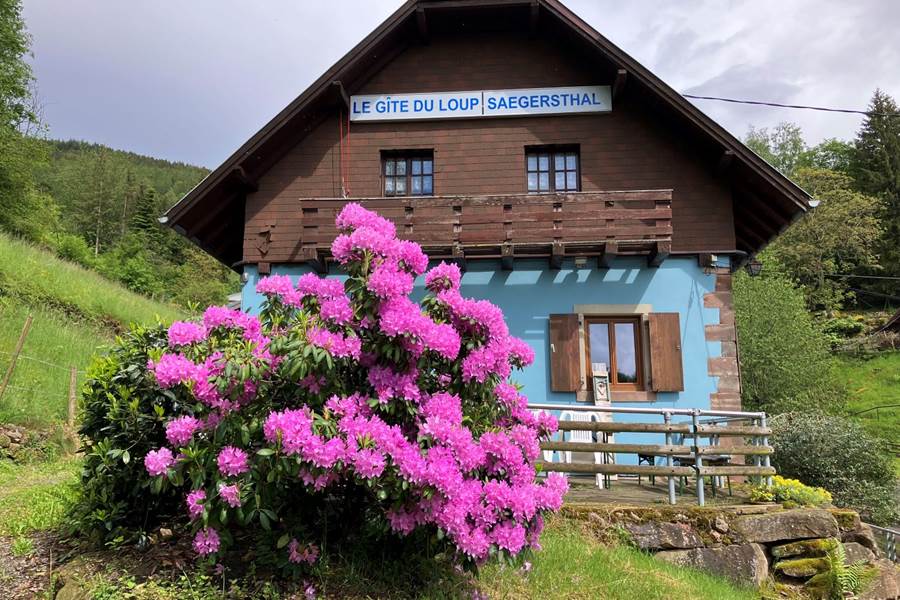 Gite-de-groupe-alsace-vosges-chalet-chambre-facade-fleurs