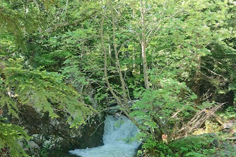 Sans titre-photo-page