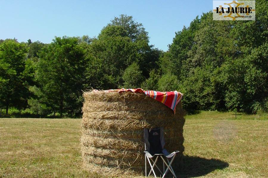 Sans titre