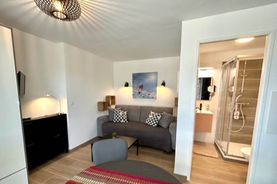 Séjour et salle d'eau-photo-page