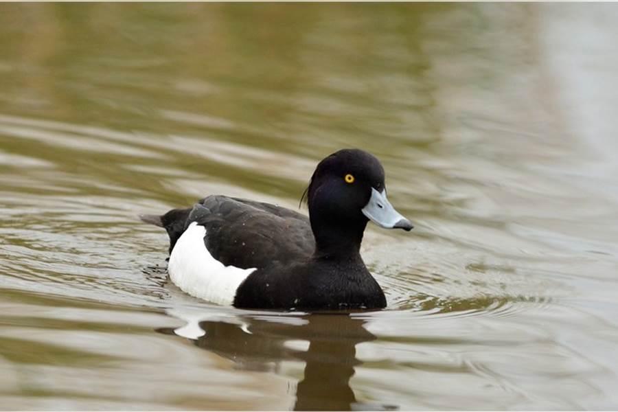 Sans titre-photo-page