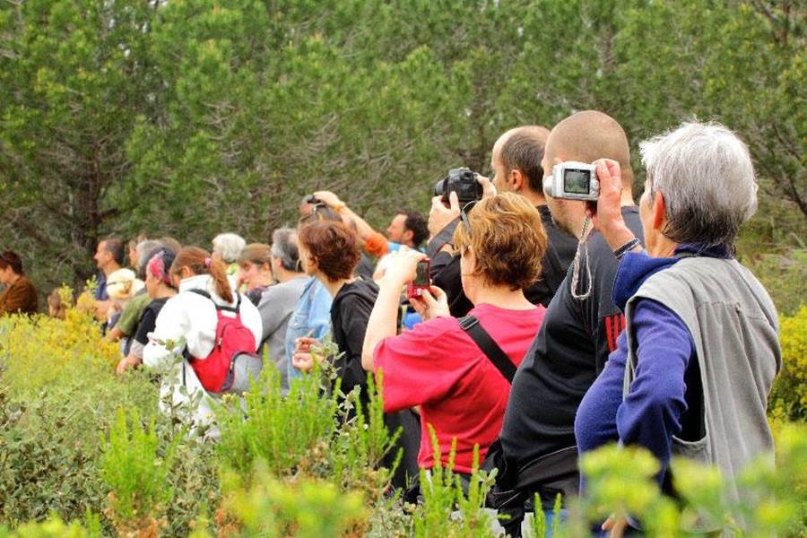 Animations sur les sentiers-photo-page