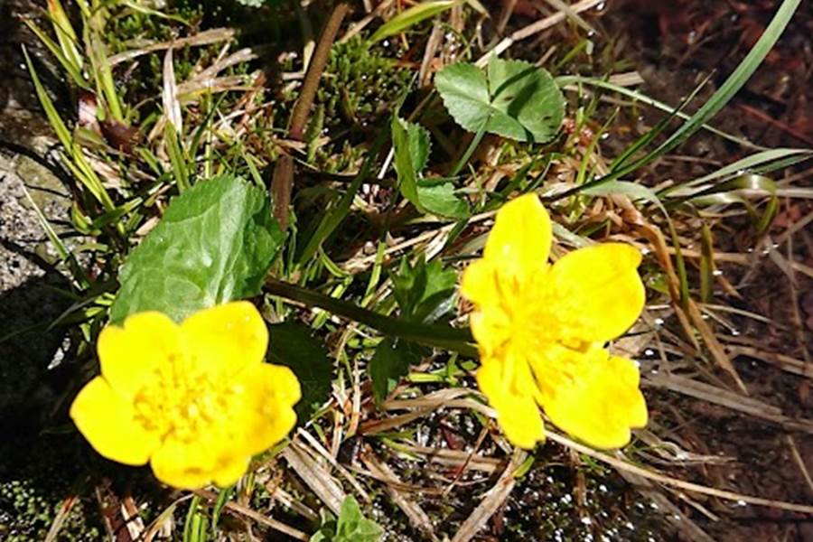 Sans titre-photo-page