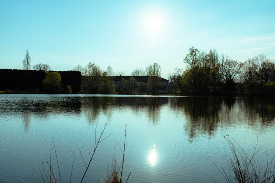 grand gite groupe dombes ain 15 personnes