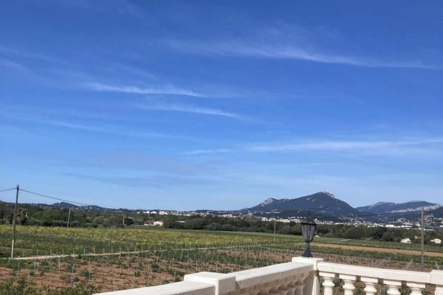 APPART DU VIGNERON 2