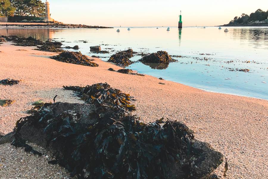 Embouchure de l'Odet depuis la plage du Coq Bénodet