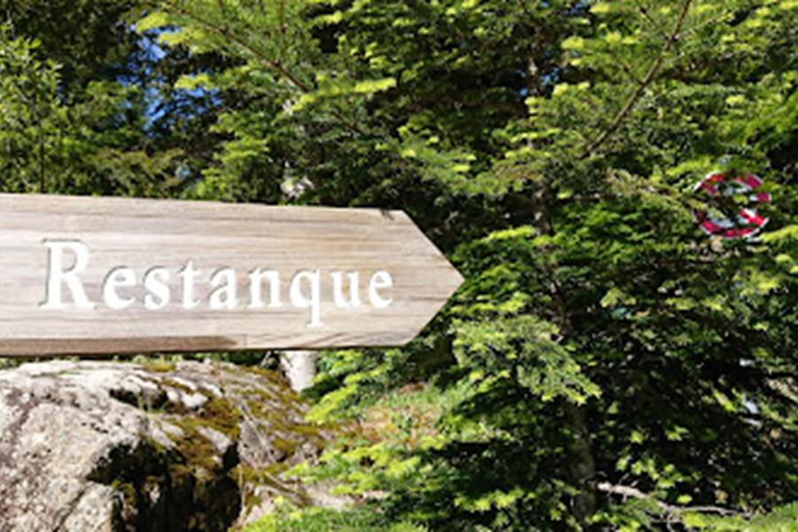 Sans titre-photo-page