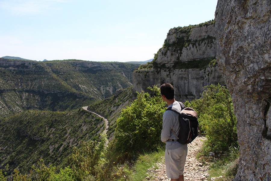 Le rossignol des murailles-Le cirque de Navacelles