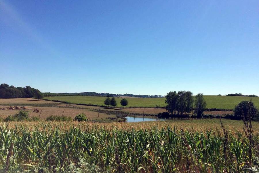 tour des éléphantes 4.5 km, olifantenrondje