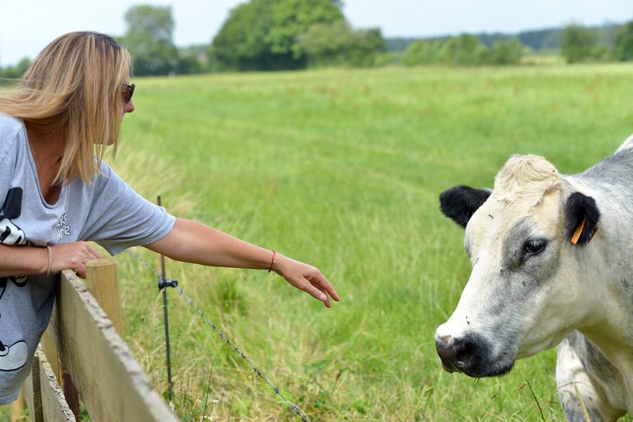 Insolites Chimay vue sur campagne (2)