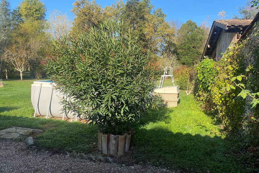 Piscine Gîte-Chambre d'hôte-Le Fleix