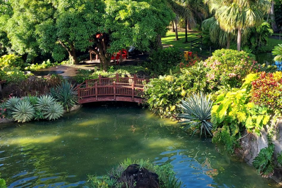 Jardin Botanique de Deshaies