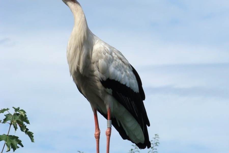 Sans titre-photo-page