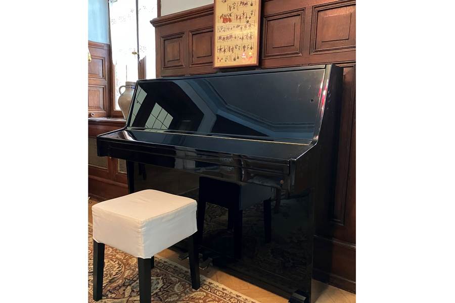 Gite-de-groupe-alsace-vosges-chalet-piano