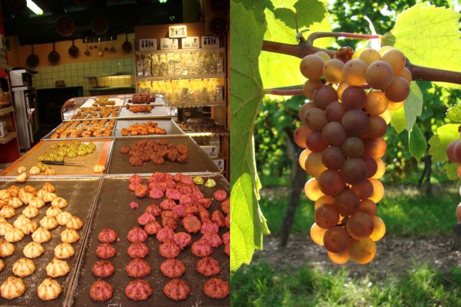 Sans titre-photo-page