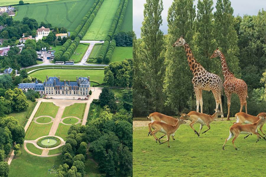 Château et Zoo de Thoiry-photo-page