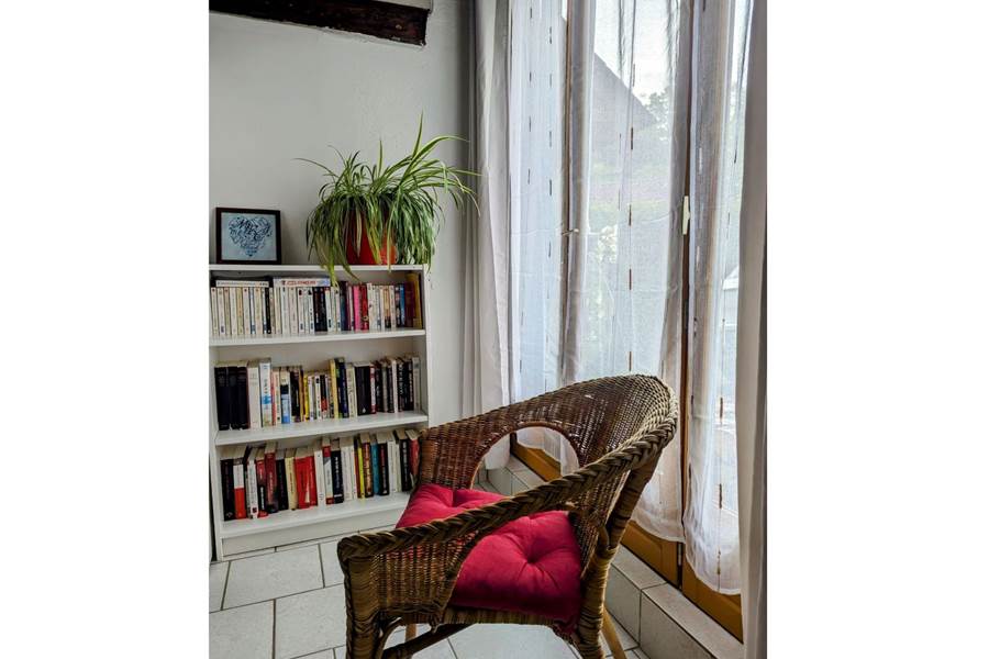 Gite-de-groupe-alsace-vosges-chalet-espace-lecture