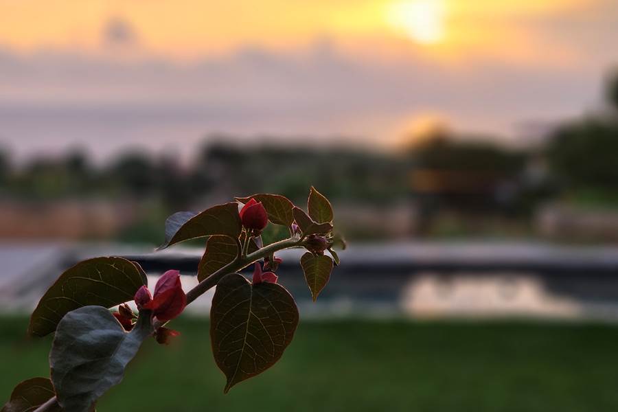 coucher soleil piscine