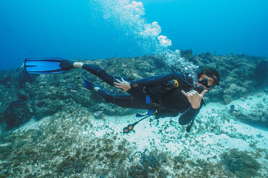 Plongée-Réserve-Cousteau-Koroko