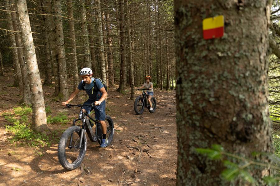 Descente en VTT dans le Semnoz à proximité du Lac d'Annecy