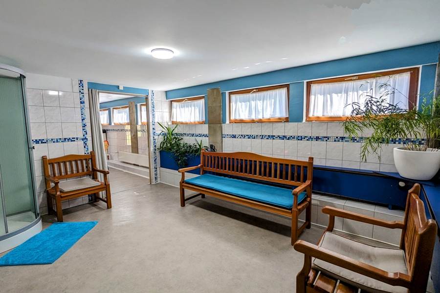 Gite-de-groupe-alsace-vosges-chalet-espace détente