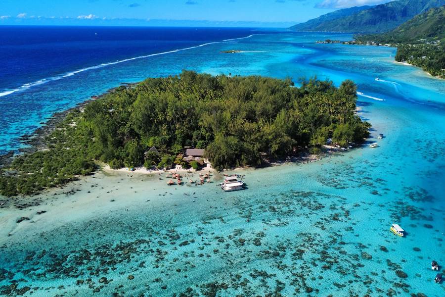 dji_fly_20250615_135928_42_1750032995253_photo_optimized