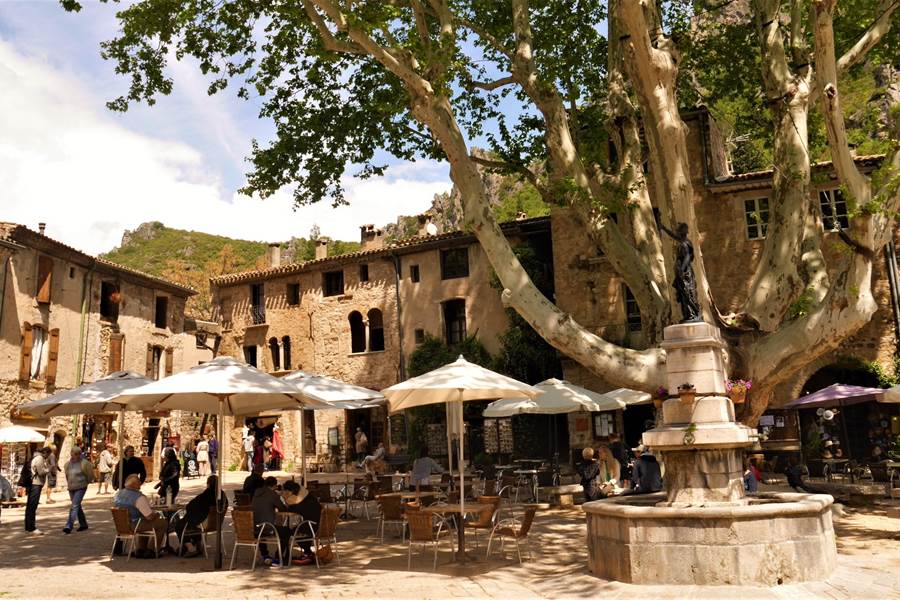 Le rossignol des murailles-Saint Guilhem le désert