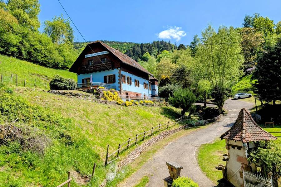Gite-de-groupe-alsace-vosges-chalet-gite-du-loup-bas