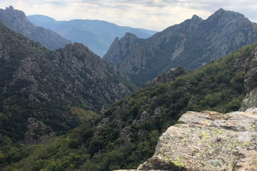 Le rossignol des murailles-Gorges de Colombières