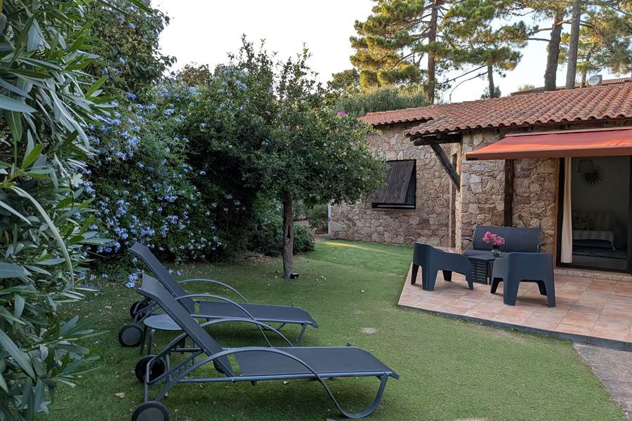 maison_laurier_jardin