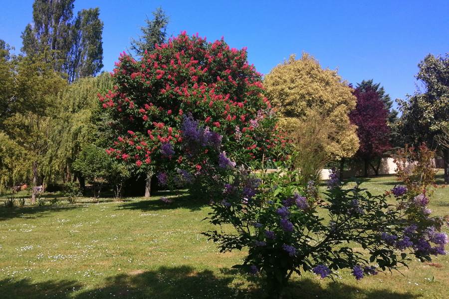 Parc