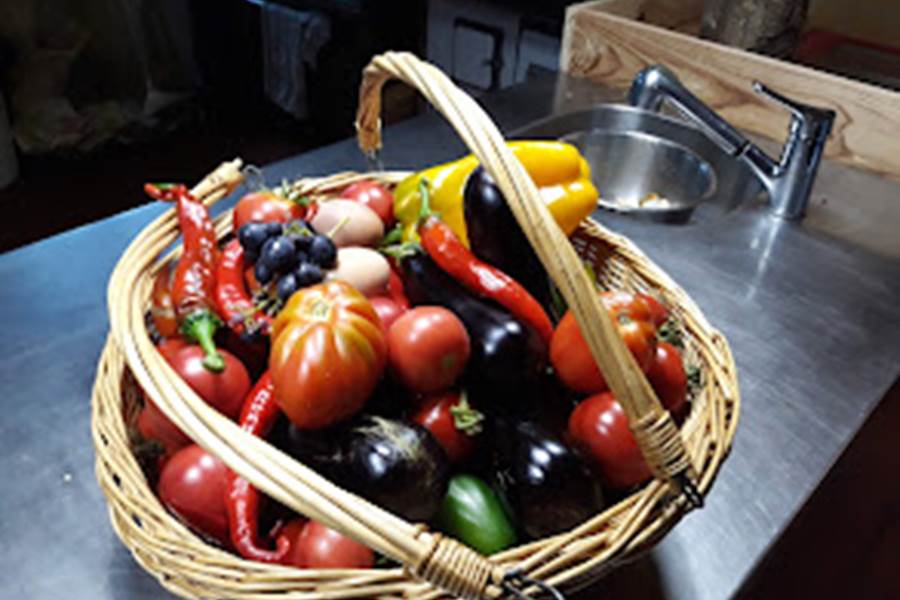 une grande variété de tomates