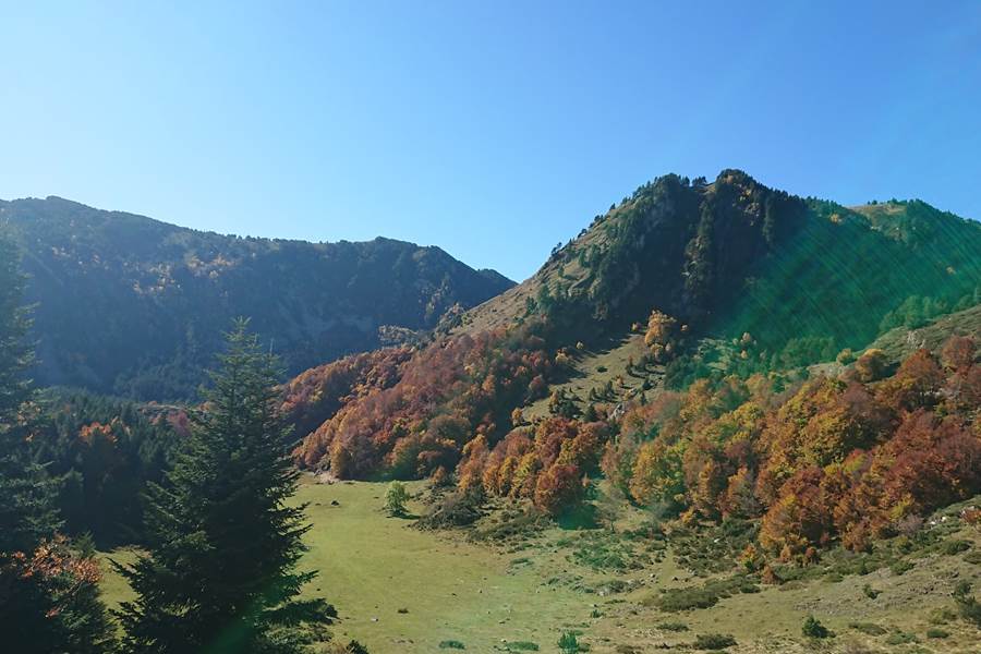 Sans titre-photo-page