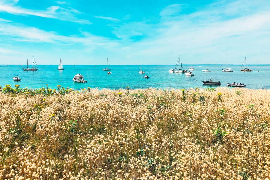 Île de Penfret les Glénan Fouesnant
