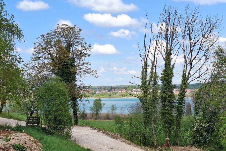 Vue sur le lac