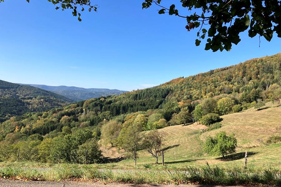 Gite-de-groupe-alsace-vosges-chalet-chambre-ete-champs