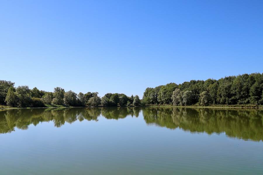 L'un des deux étangs du Domaine
