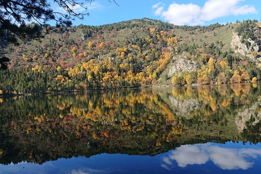 Sans titre-photo-page