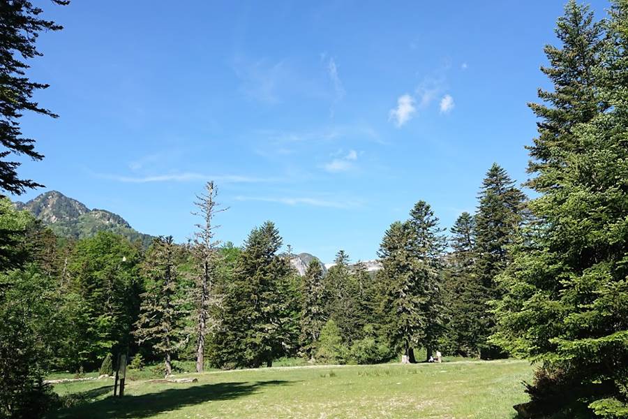 Sans titre-photo-page