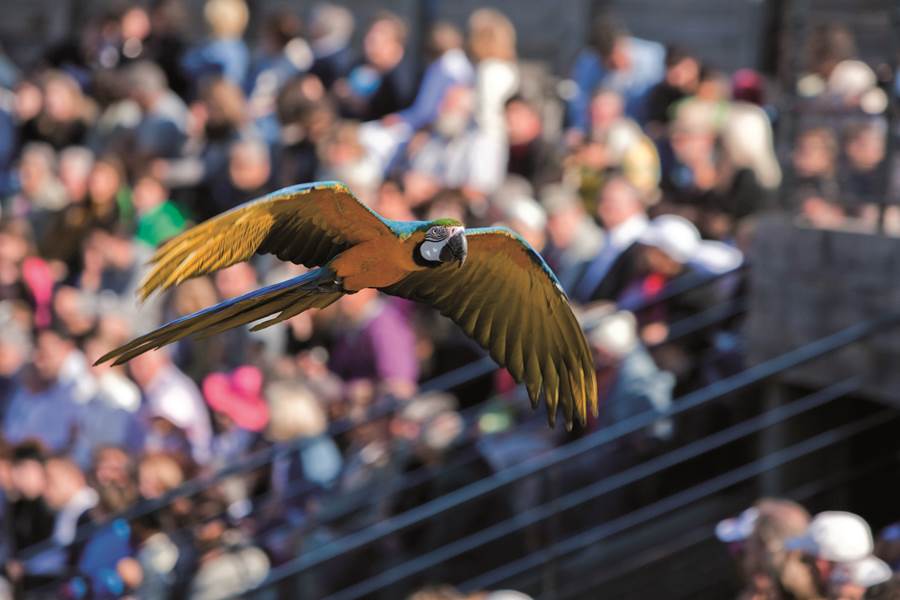 Le Parc des Oiseaux à Villars-les-Dombes